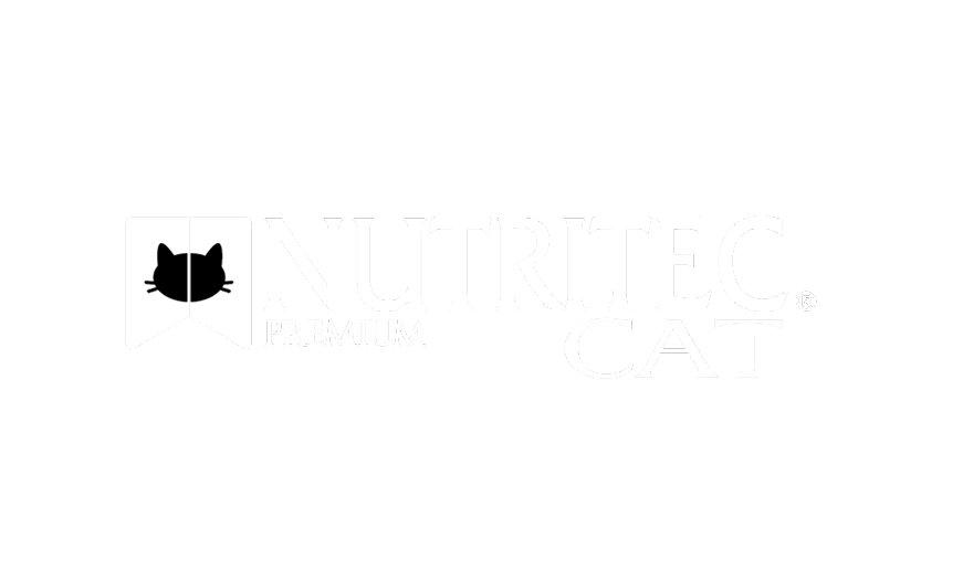 clientes%20teranbrand%202022 48 crop u23356