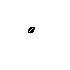 clientes%2520teranbrand%25202022 26284x284