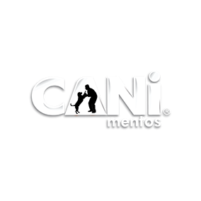 clientes%2520teranbrand%25202022 32284x284